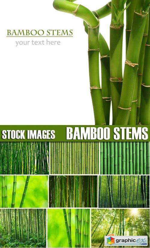 Stock Photos - Bamboo Stems, 25xJPG