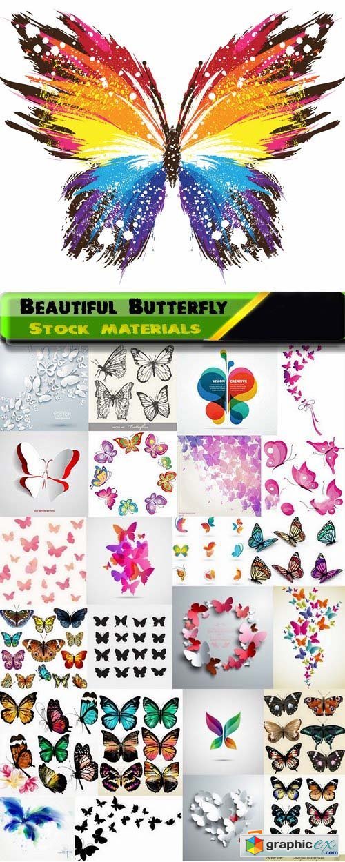 Colorful Beautiful Butterfly in vector 25xEPS