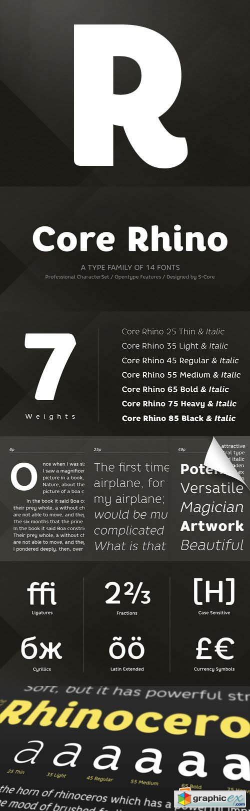 Core Rhino Font Family - 14 Fonts for $203