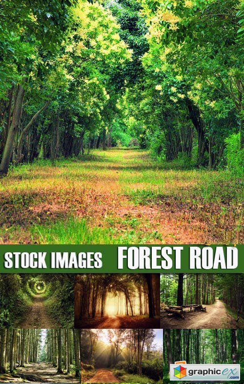 Stock Photos - Forest road, 25xJPG