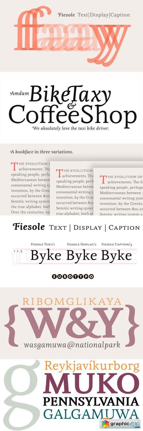 Fiesole Font Family - 17 Fonts for $259