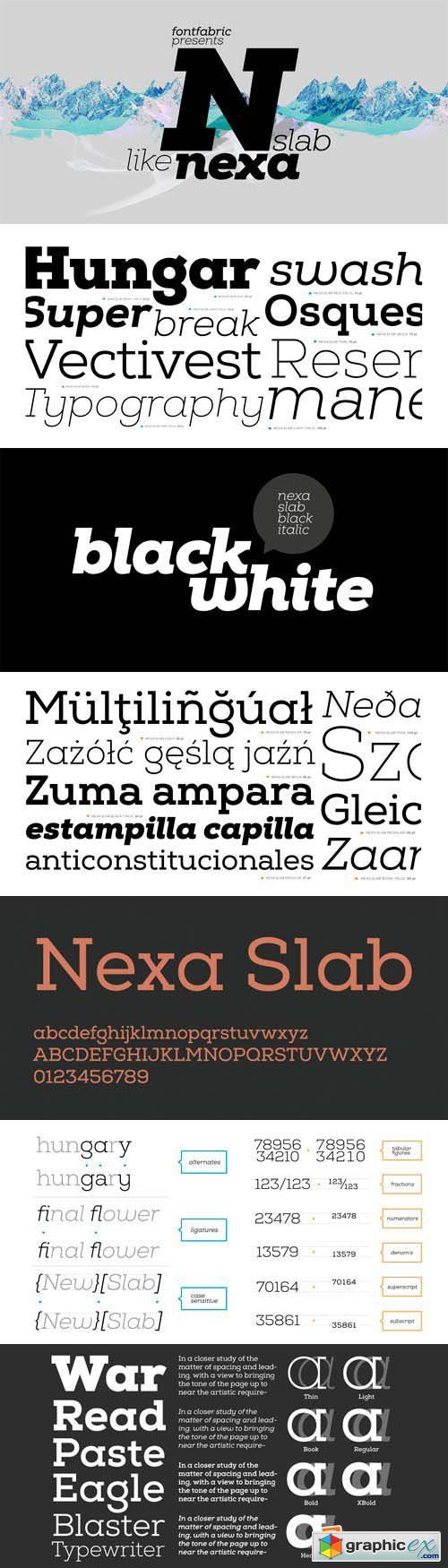 Nexa Slab Font Family - 24 Fonts for $99