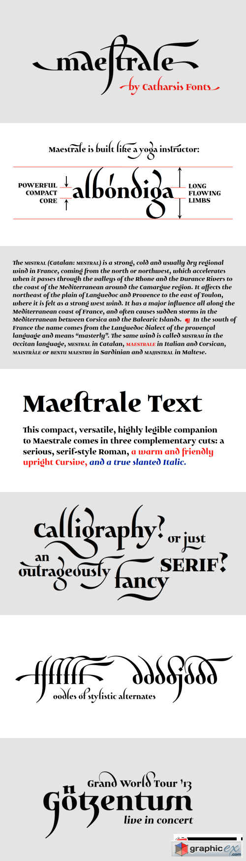 Maestrale Font Family - 5 Fonts for $60
