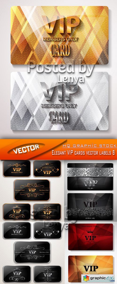 Stock Vector - Elegant VIP cards vector labels 8