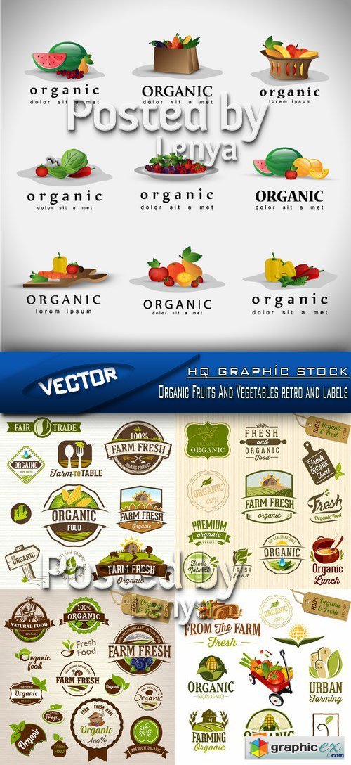 Stock Vector - Organic Fruits And Vegetables retro and labels