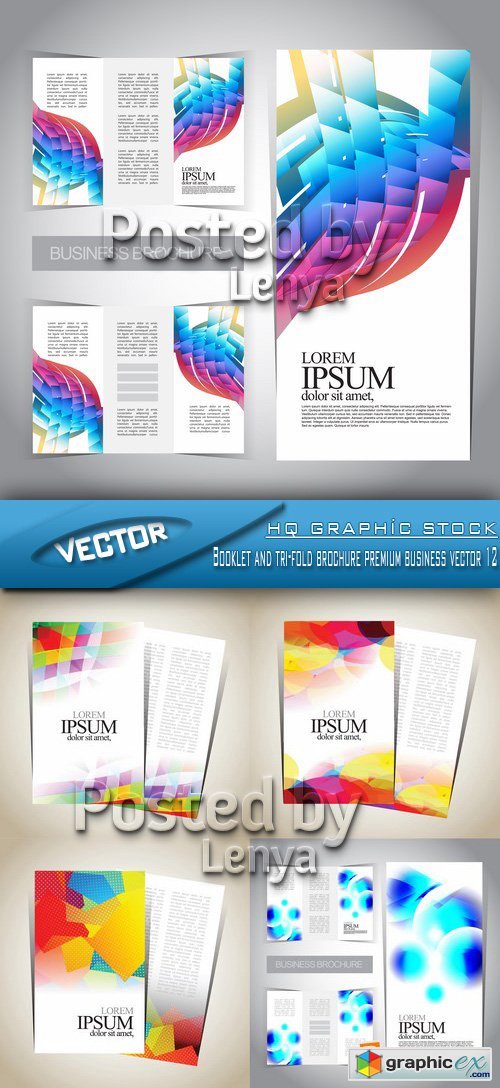 Stock Vector - Booklet and tri-fold brochure premium business vector 12