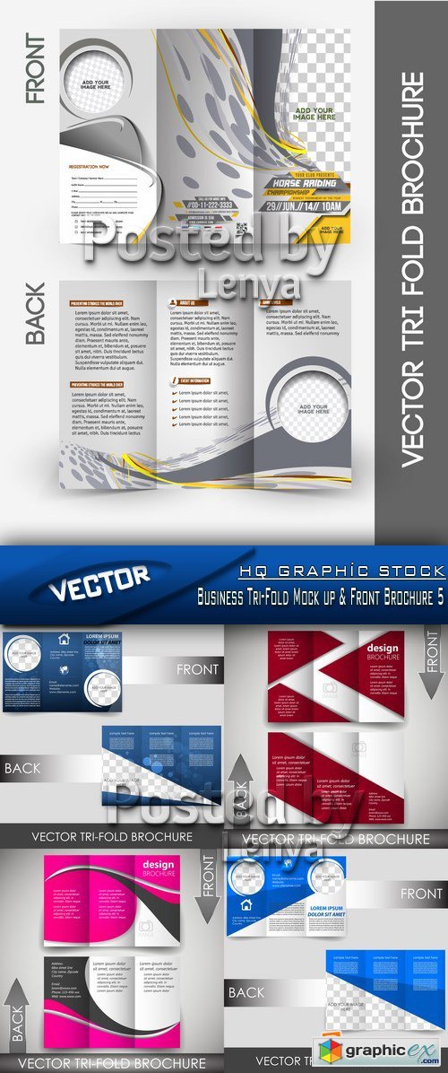 Stock Vector - Business Tri-Fold Mock up & Front Brochure 5