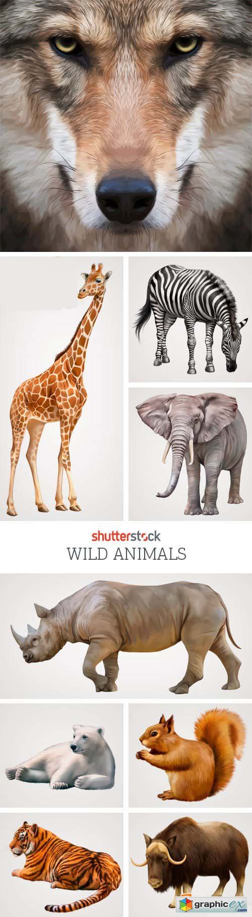 Amazing SS - Wild Animals, 25xEPS