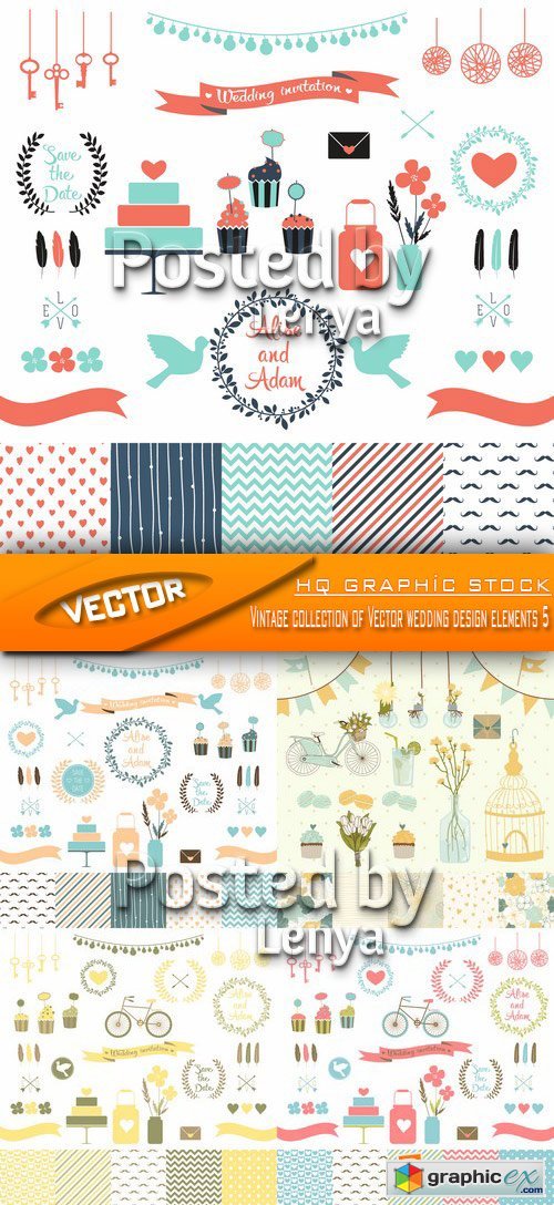 Stock Vector - Vintage collection of Vector wedding design elements 5