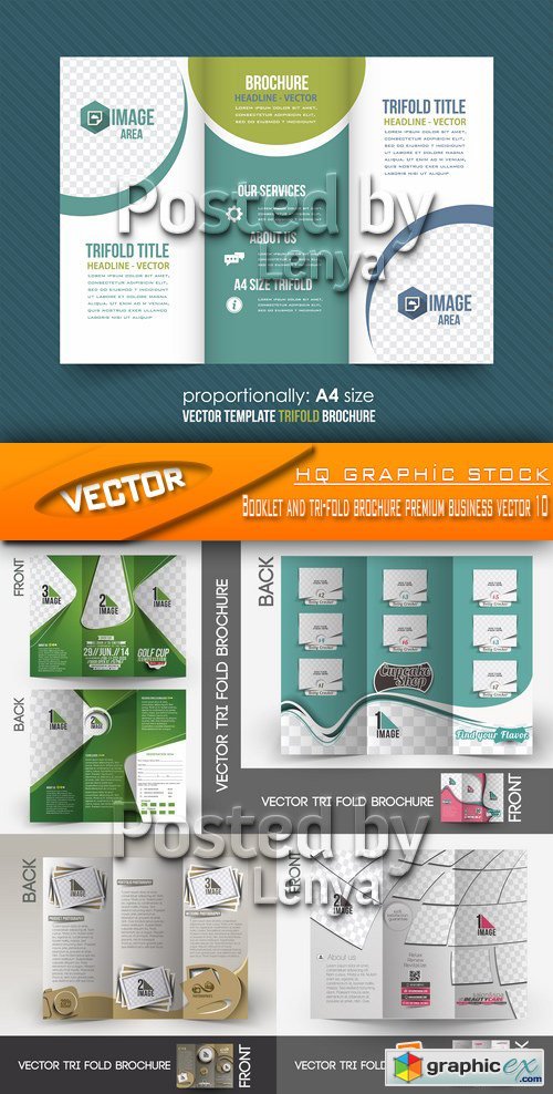 Stock Vector - Booklet and tri-fold brochure premium business vector 10