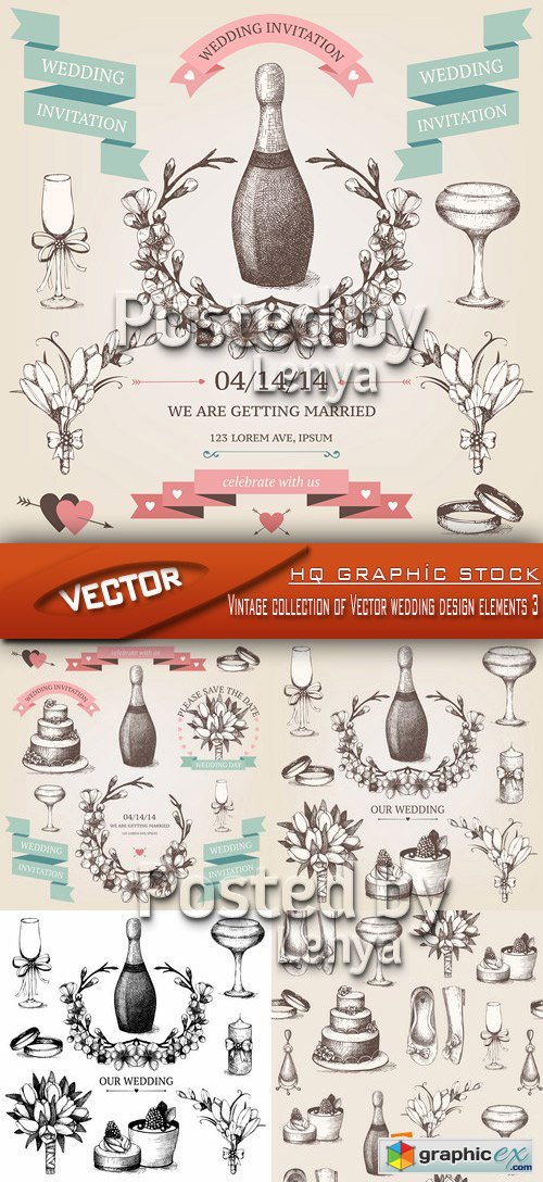 Stock Vector - Vintage collection of Vector wedding design elements 3