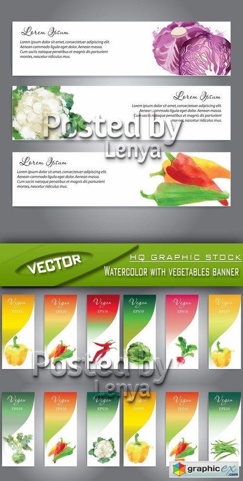 Stock Vector - Watercolor with vegetables banner