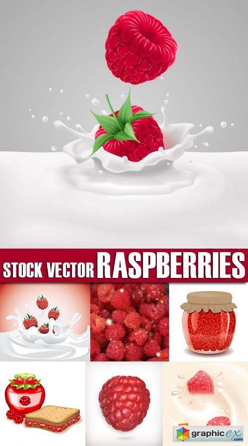 Stock Vectors - Raspberries, 25xEPS