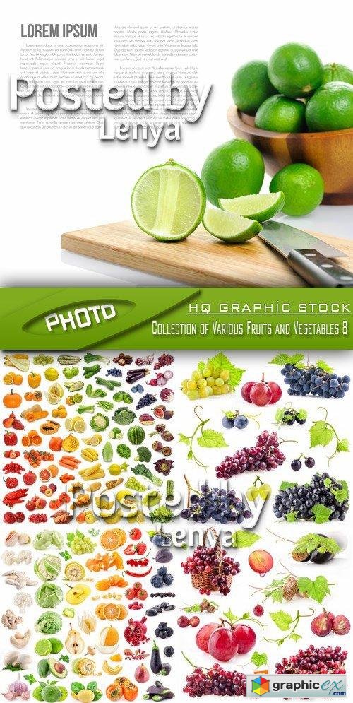Stock Photo - Collection of Various Fruits and Vegetables 8