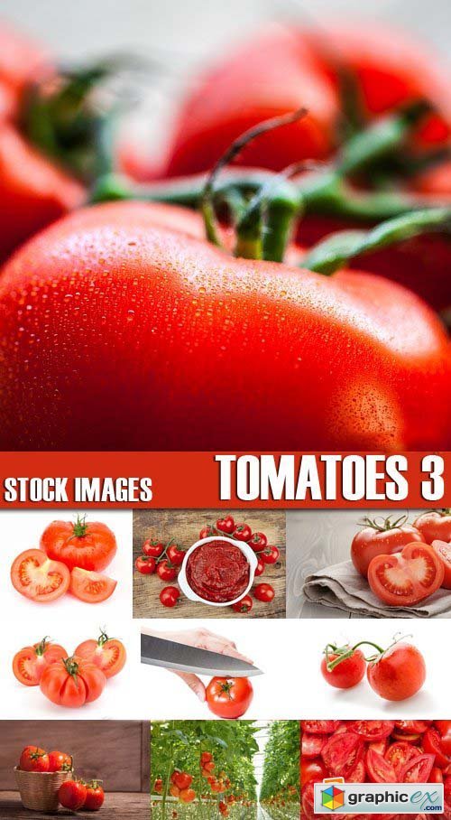 Stock Photos - Tomatoes 3, 25xJPG