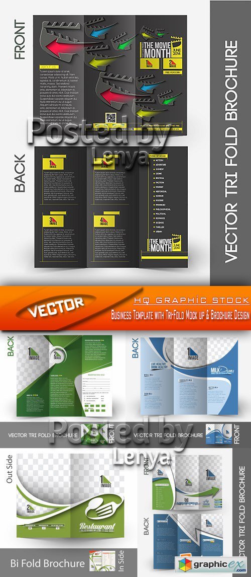 Stock Vector - Business Template with Tri-Fold Mock up & Brochure Design
