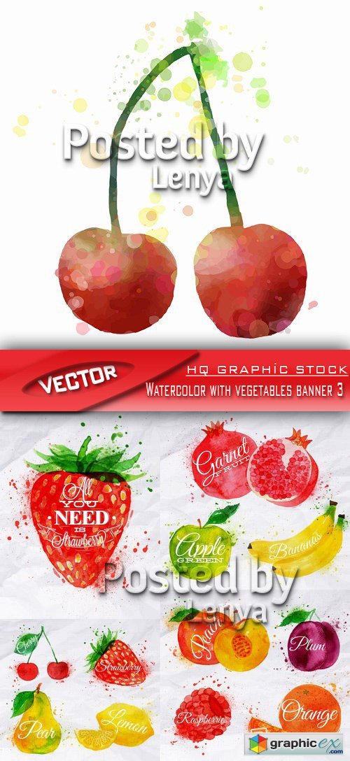 Stock Vector - Watercolor with vegetables banner 3