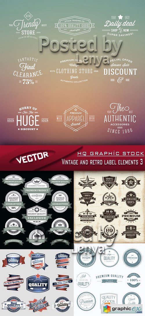 Stock Vector - Vintage and retro label elements 3