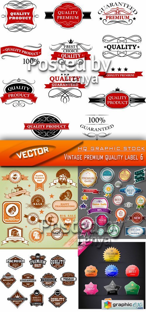 Stock Vector - Vintage premium quality label 6
