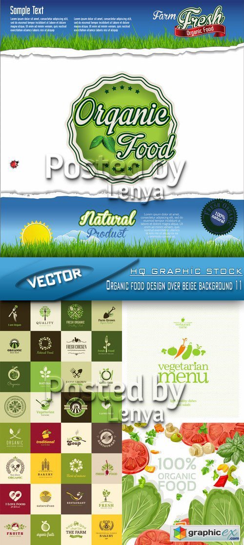 Stock Vector - Organic food design over beige background 11