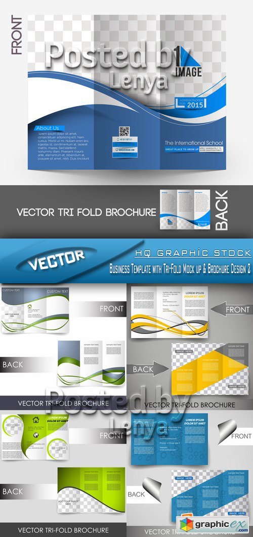 Stock Vector - Business Template with Tri-Fold Mock up & Brochure Design 2
