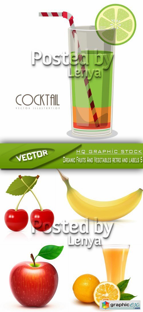 Stock Vector - Organic Fruits And Vegetables retro and labels 5