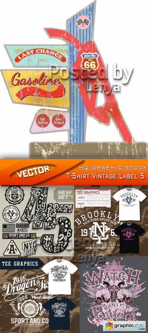 Stock Vector - T-Shirt Vintage Label 5