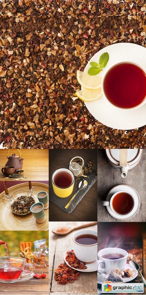 Shutterstock - Tea, 25xJPG