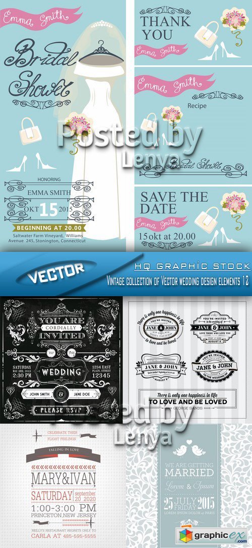 Stock Vector - Vintage collection of Vector wedding design elements 12
