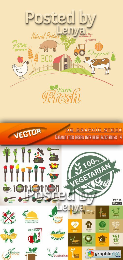 Stock Vector - Organic food design over beige background 14