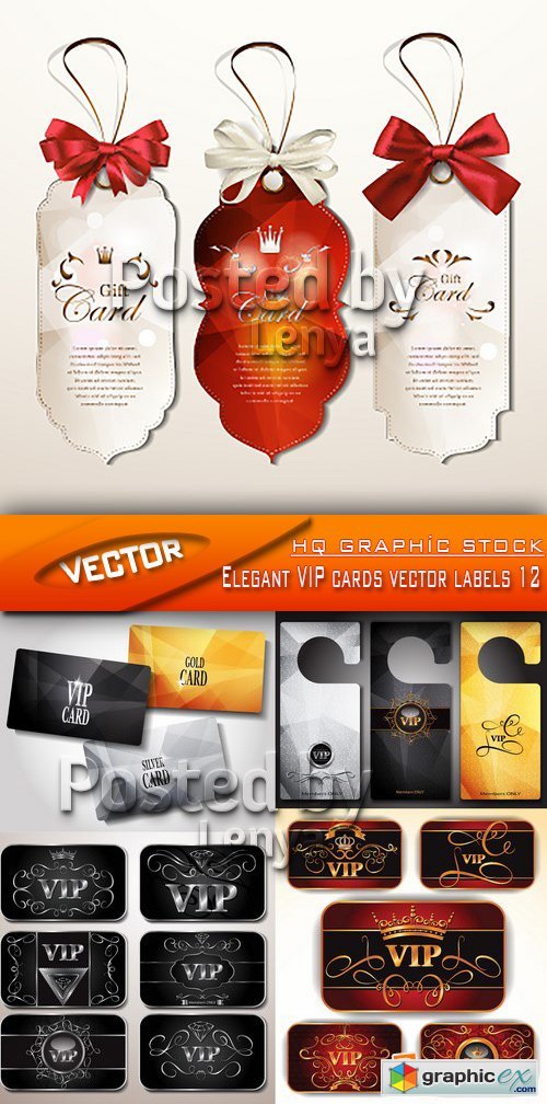 Stock Vector - Elegant VIP cards vector labels 12
