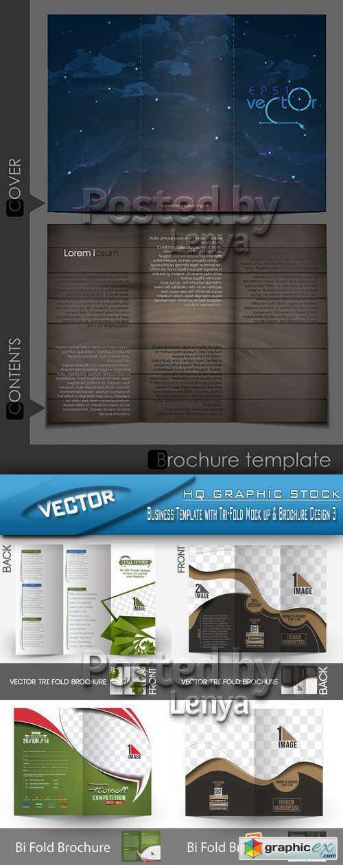 Stock Vector - Business Template with Tri-Fold Mock up & Brochure Design 3