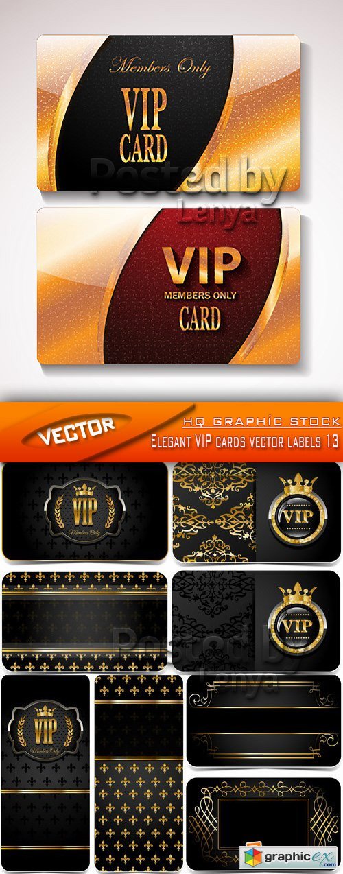 Stock Vector - Elegant VIP cards vector labels 13