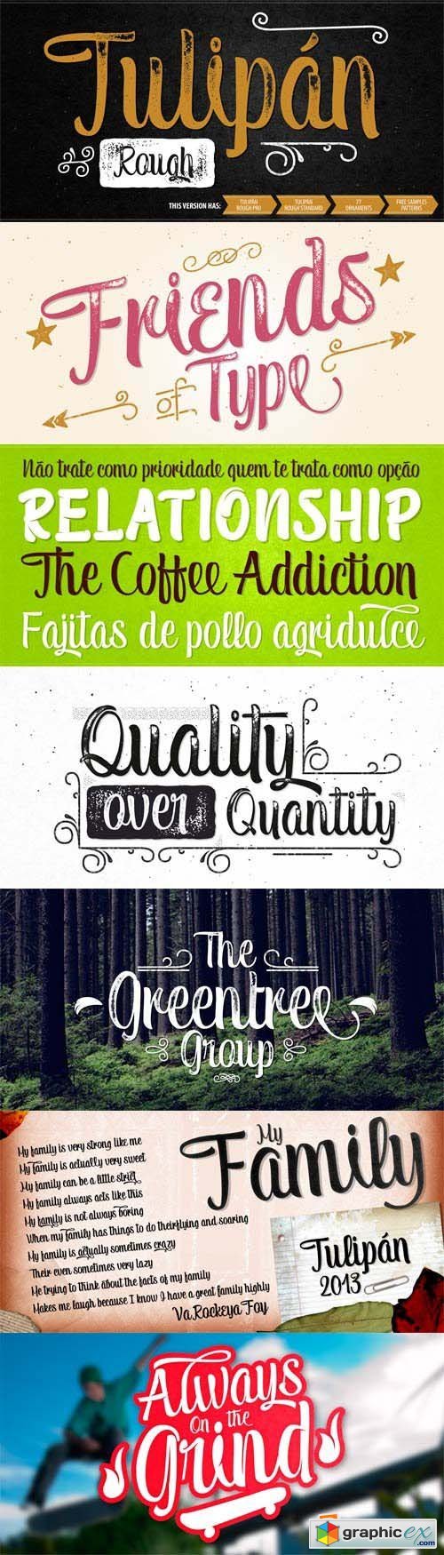 Tulipan Font Family - 11 Fonts for $80