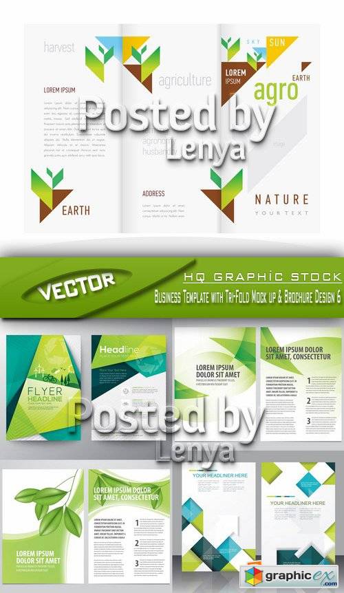Stock Vector - Business Template with Tri-Fold Mock up & Brochure Design 6