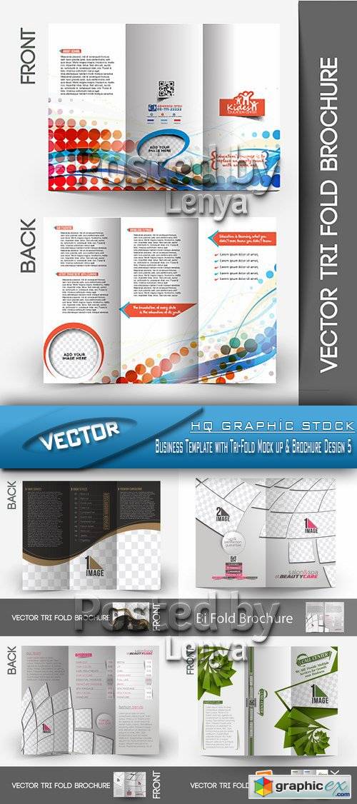 Stock Vector - Business Template with Tri-Fold Mock up & Brochure Design 5