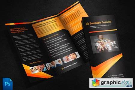 Business Tri Fold Brochure Template 250