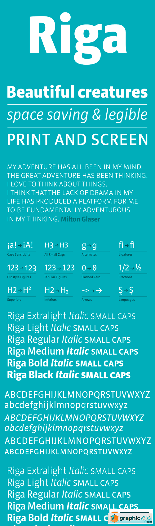Riga Font Family - 18 Fonts for $449