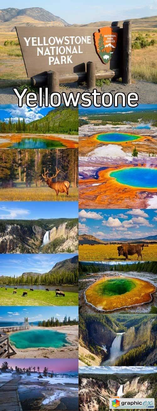 Stock Photos - Yellowstone