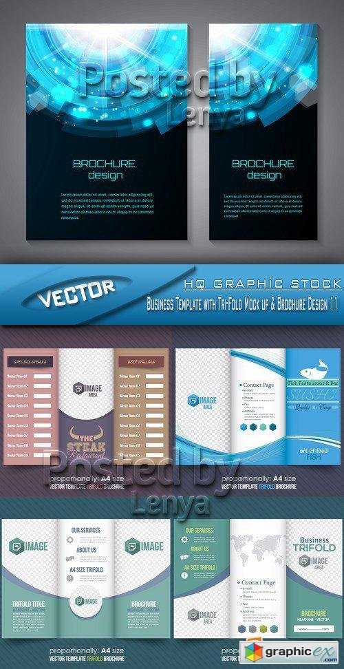 Stock Vector - Business Template with Tri-Fold Mock up & Brochure Design 11