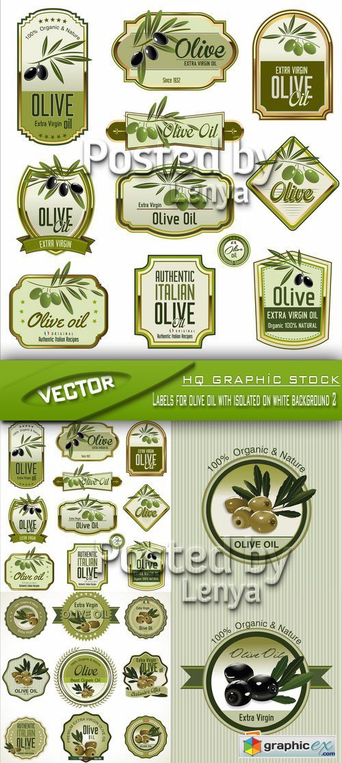 Stock Vector - Labels for olive oil with isolated on white background 2