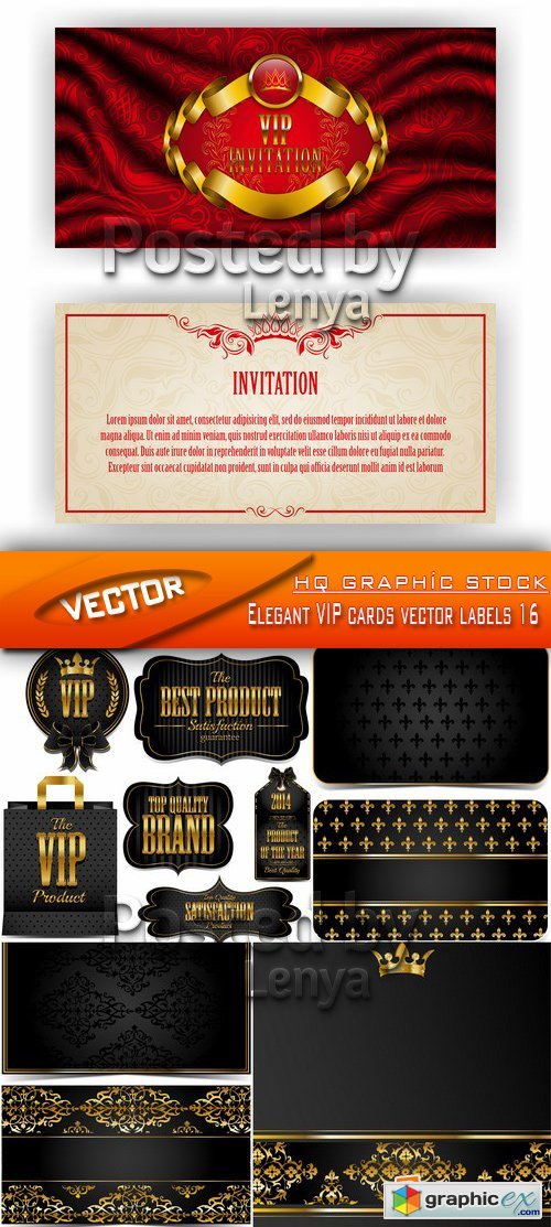 Stock Vector - Elegant VIP cards vector labels 16