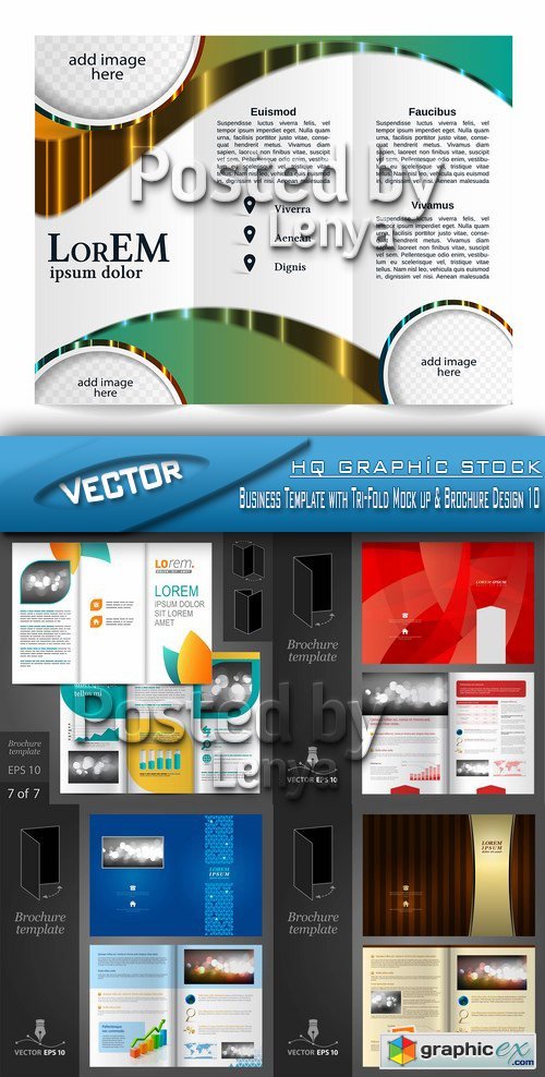 Stock Vector - Business Template with Tri-Fold Mock up & Brochure Design 10