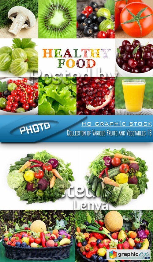 Stock Photo - Collection of Various Fruits and Vegetables 13