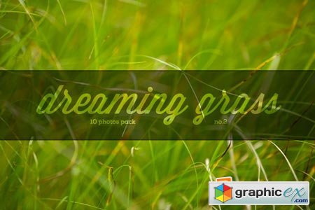 Dreaming grass no.2 - 10 photoset 94838