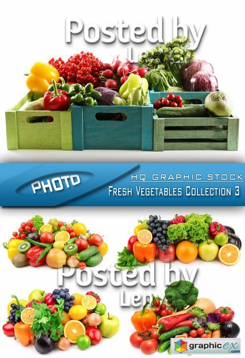 Stock Photo - Fresh Vegetables Collection 3
