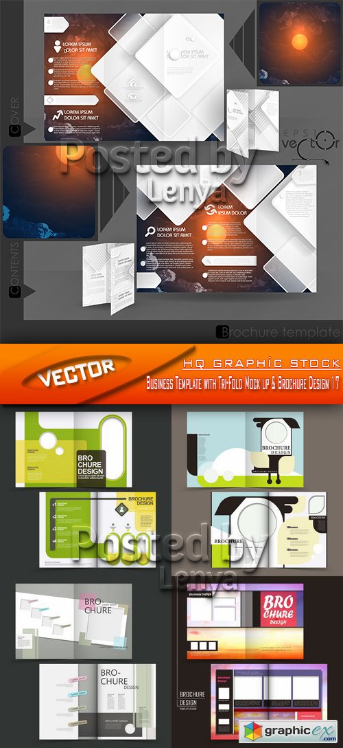 Stock Vector - Business Template with Tri-Fold Mock up & Brochure Design 17