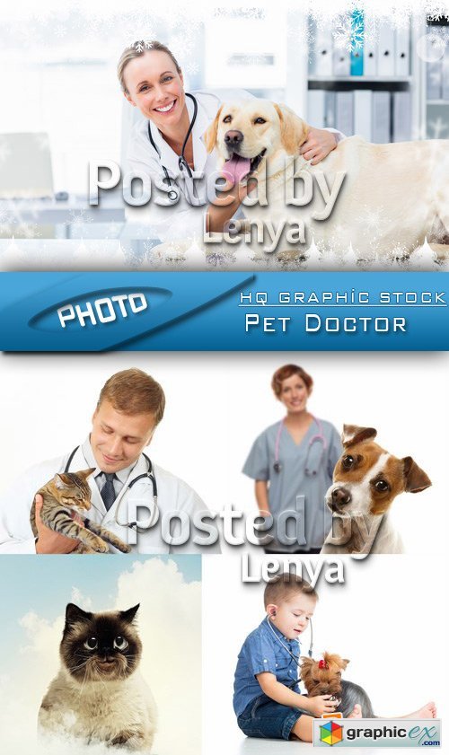 Stock Photo - Pet Doctor