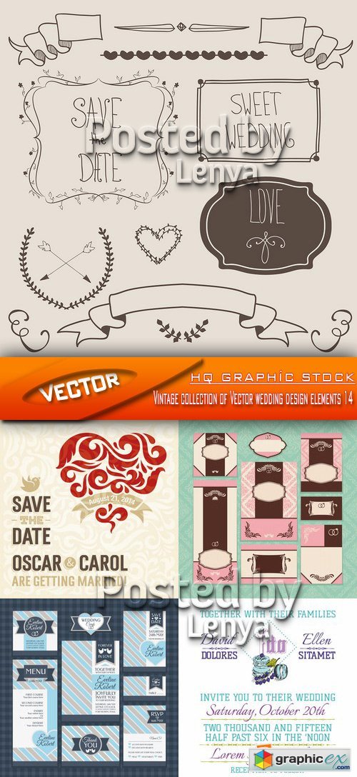 Stock Vector - Vintage collection of Vector wedding design elements 014