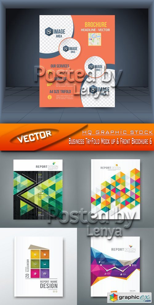 Stock Vector - Business Tri-Fold Mock up & Front Brochure 6